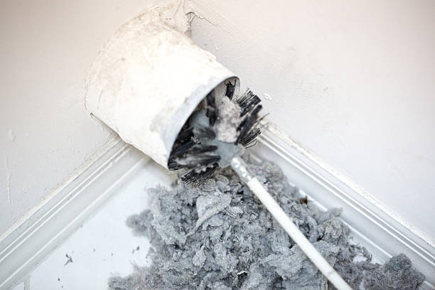 Best Emergency Air Duct Cleaning  in Anniston, AL